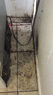 same day pest control Las Vegas