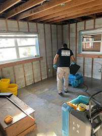 professional water damage repair Florida