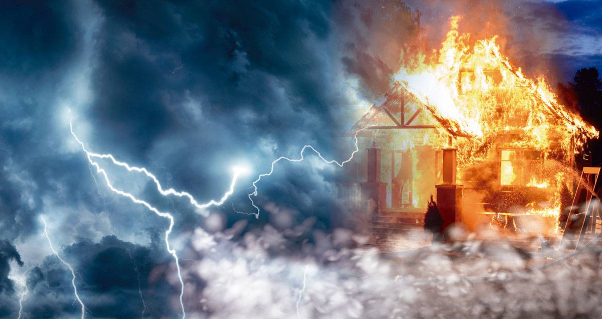 certified mold removal near me