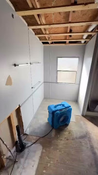 About certified mold removal near me