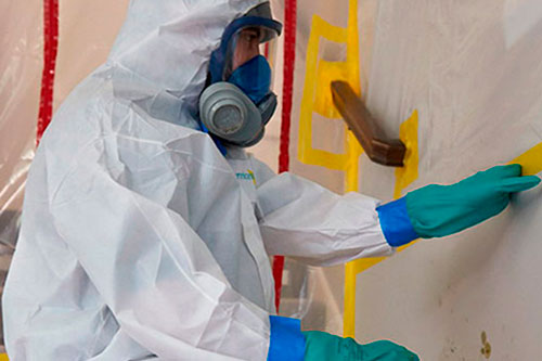 Gallery image 1 — certified mold removal near me