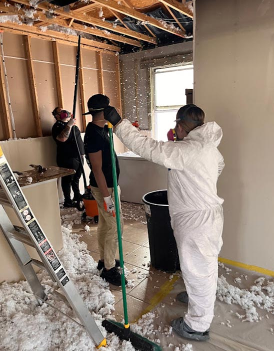 Gallery image 4 — certified mold removal near me