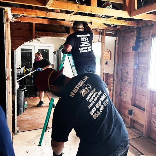 Gallery image 7 — certified mold removal near me