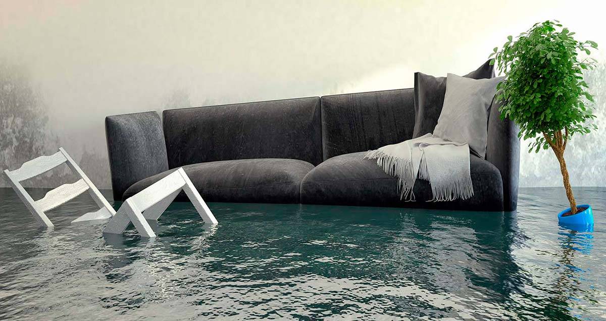 Gallery image 10 — certified mold removal near me