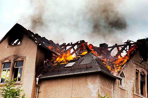 Gallery image 8 — certified mold removal near me