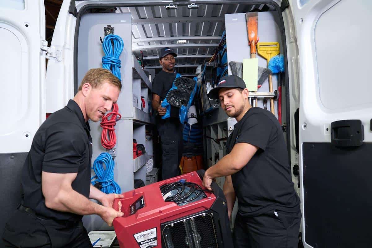 Gallery image 4 — mold remediation services Oldsmar