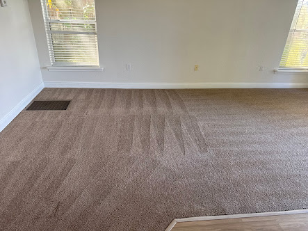 Gallery image 3 — pet odor removal Orlando