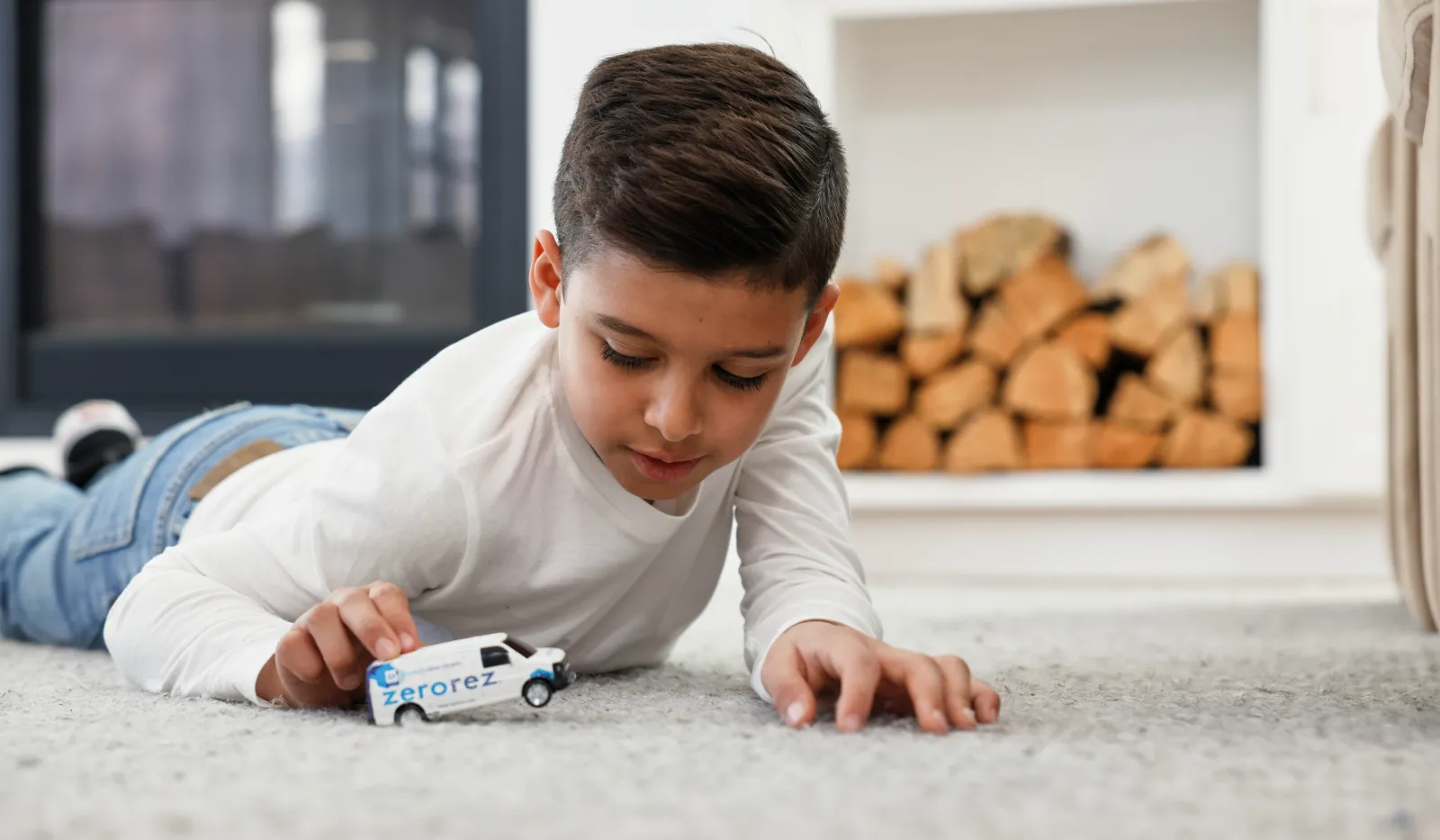 pet odor removal Orlando