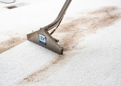 Gallery image 2 — pet odor removal Orlando