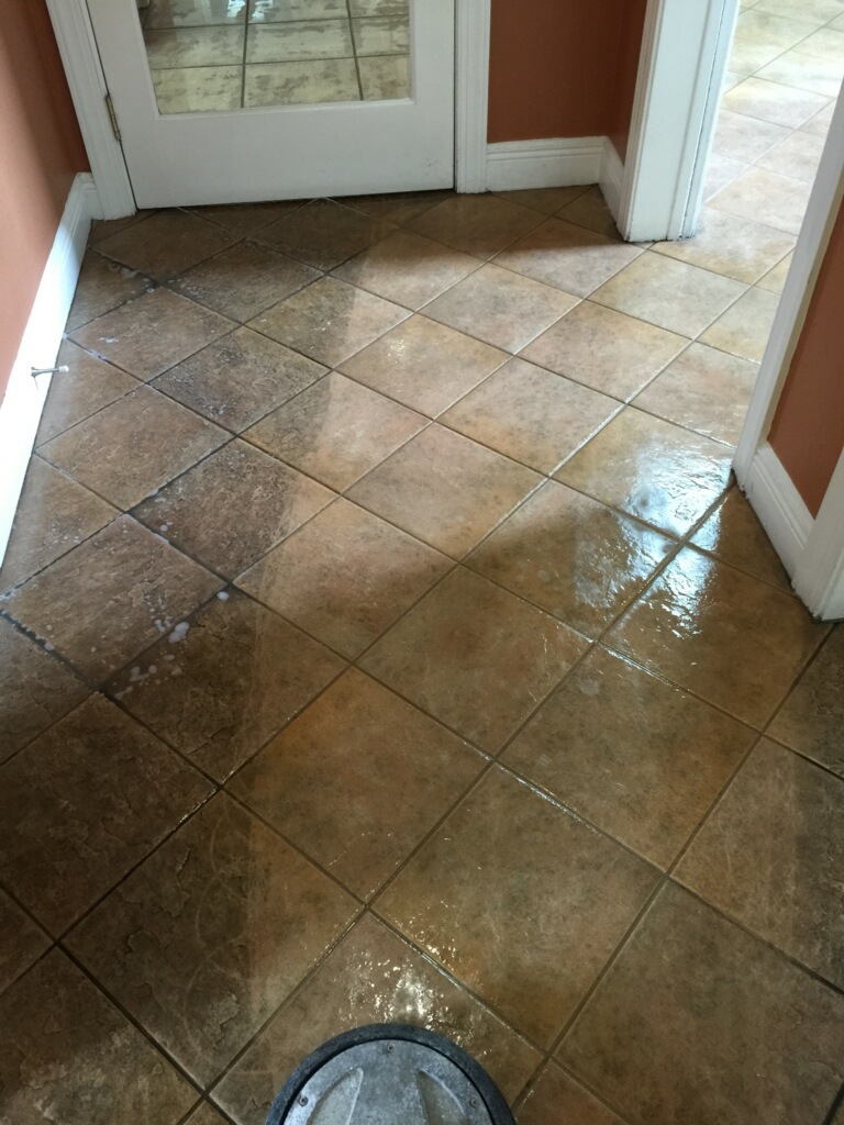 Gallery image 3 — professional upholstery cleaning near me