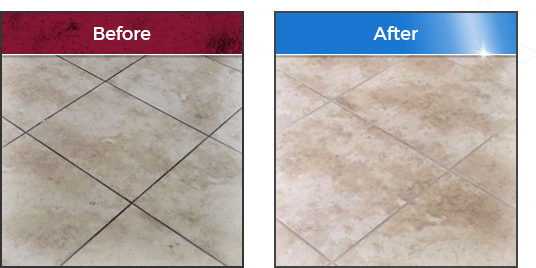 Gallery image 2 — professional upholstery cleaning near me