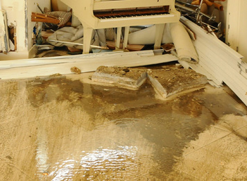 Gallery image 1 — professional upholstery cleaning near me