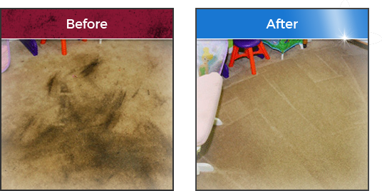 Gallery image 4 — professional upholstery cleaning near me