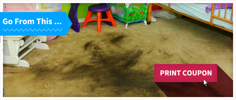 professional upholstery cleaning near me