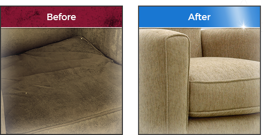 Gallery image 6 — professional upholstery cleaning near me