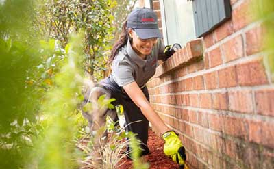 Gallery image 6 — local pest control experts Henderson
