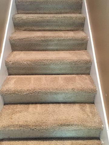 carpet cleaning Orlando