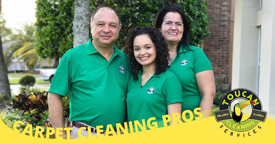 Gallery image 3 — vehicle interior steam cleaning Orlando