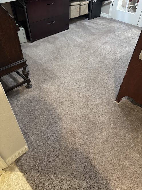 eco friendly carpet cleaning near me
