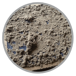 Gallery image 6 — eco friendly carpet cleaning near me