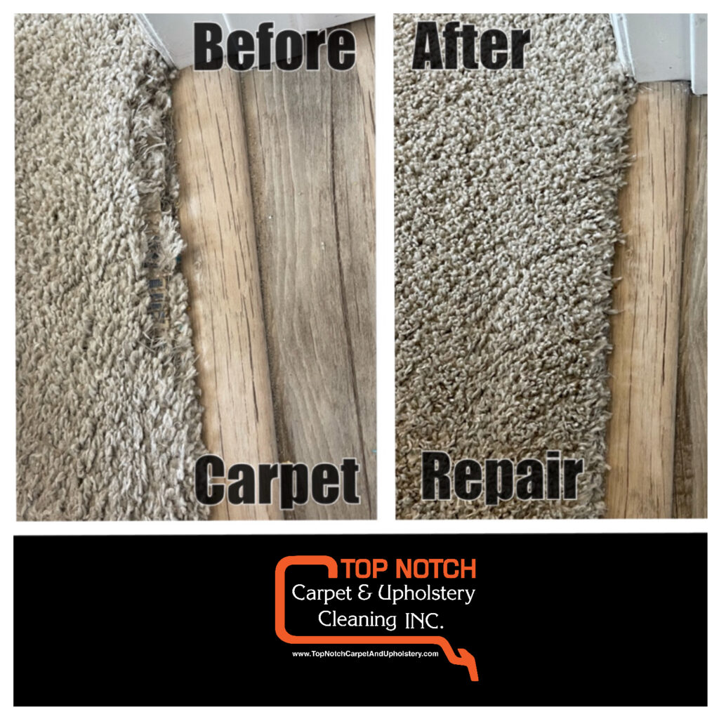 Gallery image 5 — upholstery cleaning near me