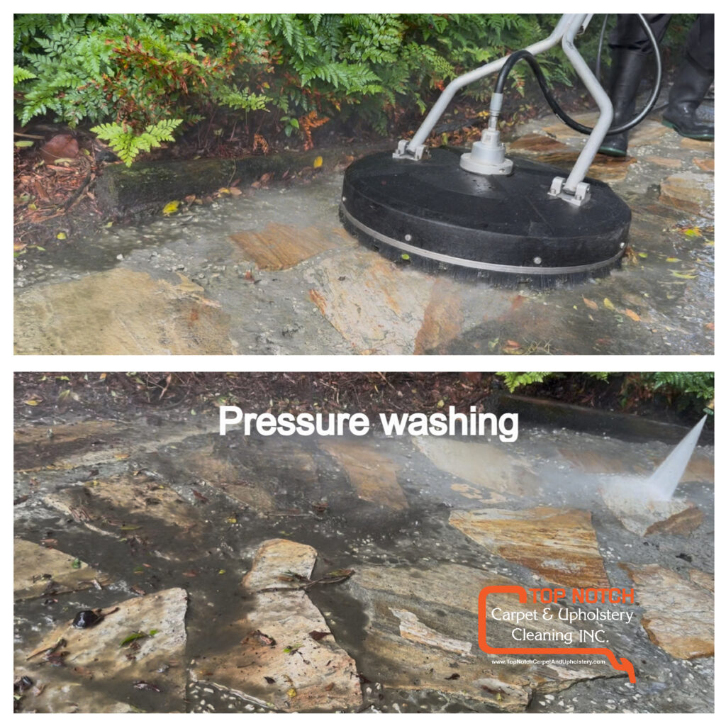 Gallery image 4 — upholstery cleaning near me