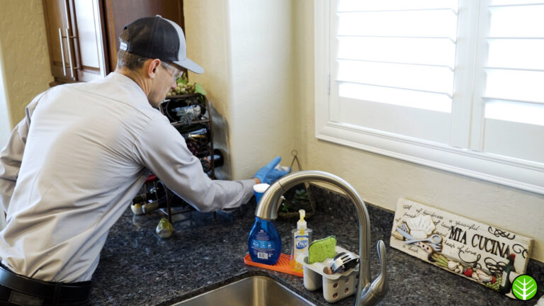 Gallery image 5 — termite control near me