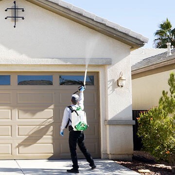 Gallery image 6 — termite control near me