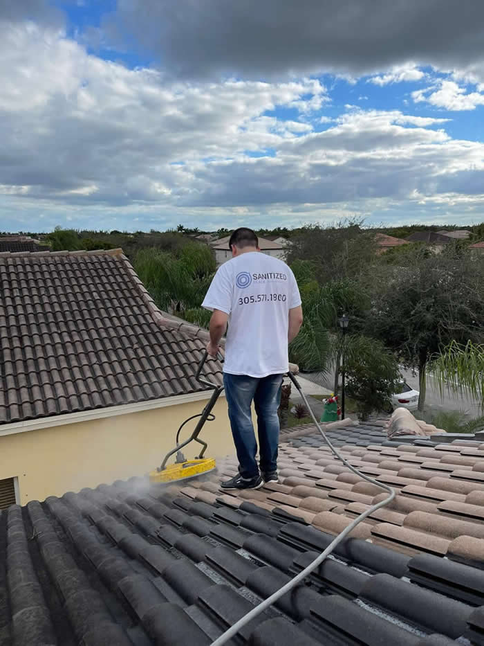 Gallery image 6 — roof cleaning near me