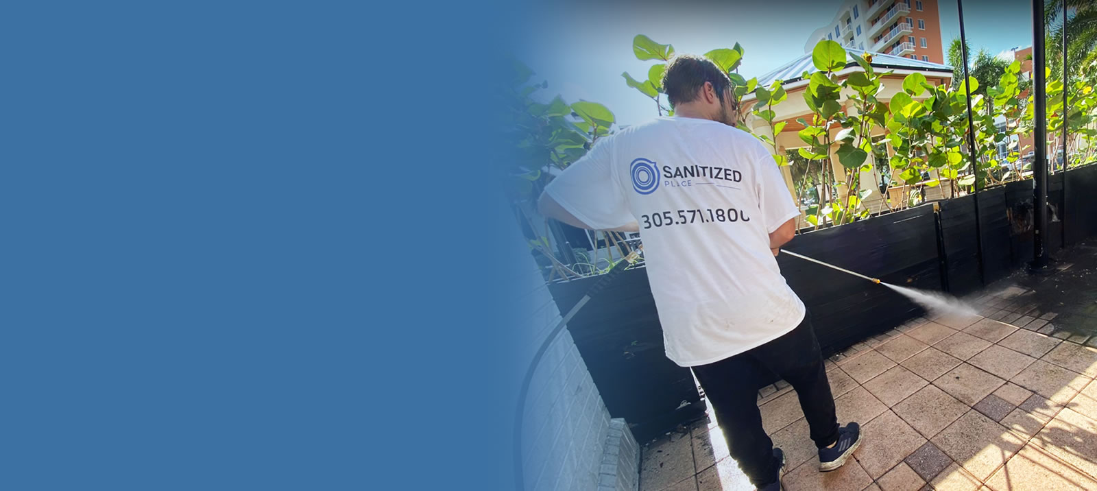 roof cleaning near me