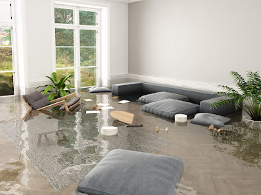 About 24/7 water damage repair Tampa