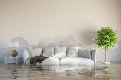 Gallery image 6 — 24/7 water damage repair Tampa
