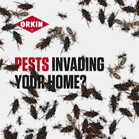 About rodent control San Antonio