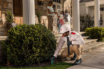Gallery image 13 — wildlife removal San Diego