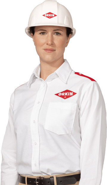 Gallery image 6 — emergency pest control San Diego