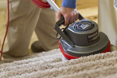 carpet cleaning Winter Garden