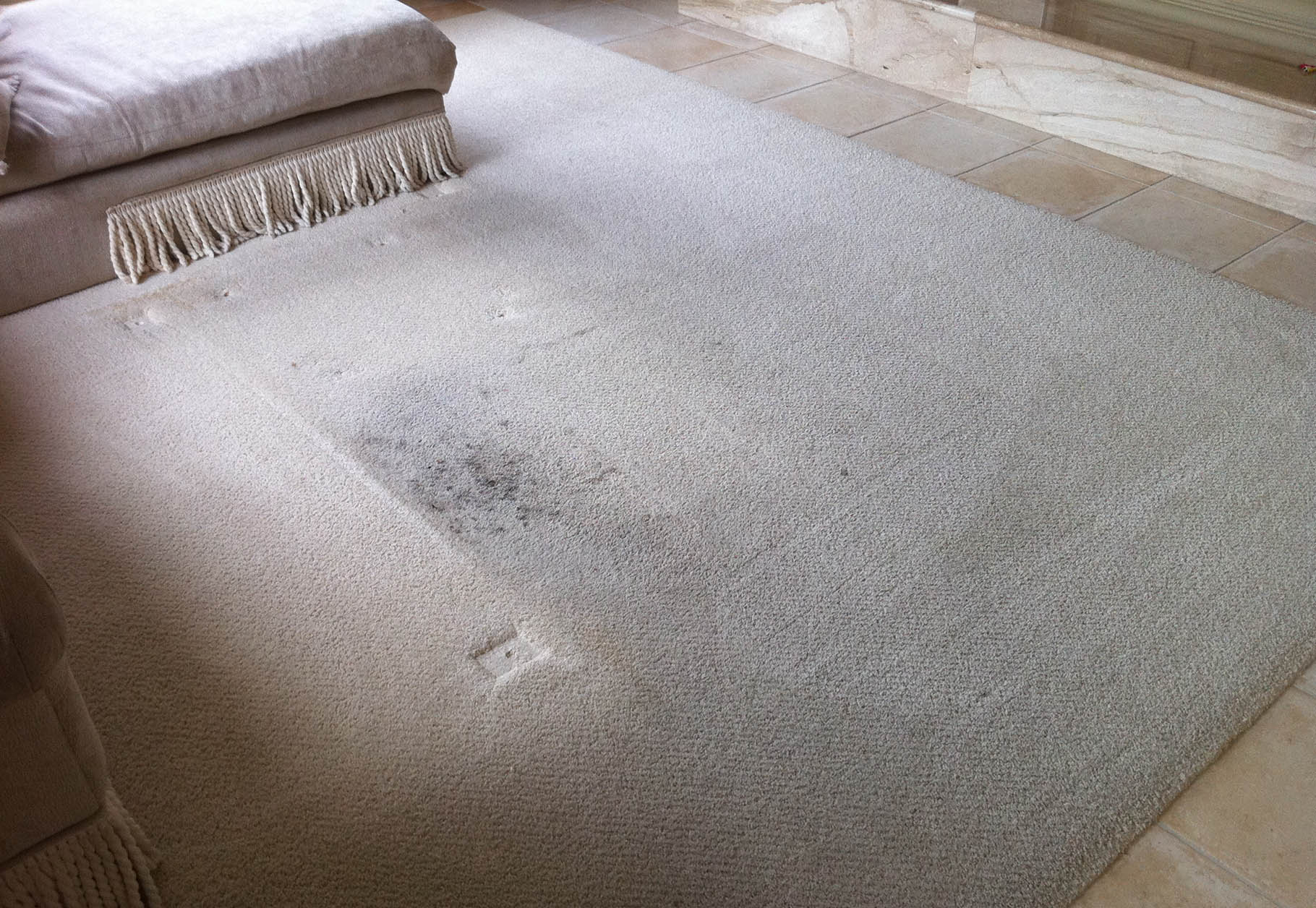 Gallery image 5 — carpet cleaning Winter Garden