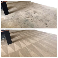 Gallery image 5 — carpet cleaning Orlando