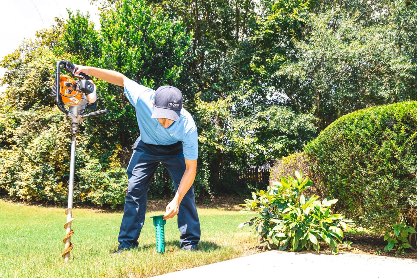 Gallery image 2 — Moxie Pest Control