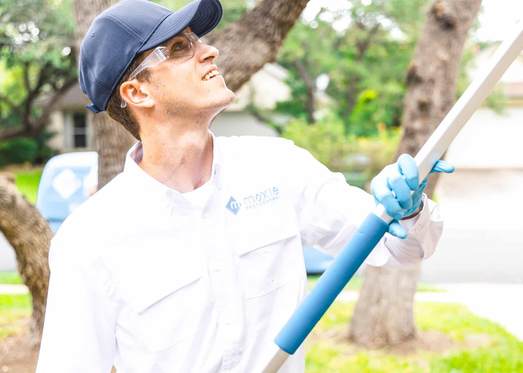 Gallery image 3 — Moxie Pest Control