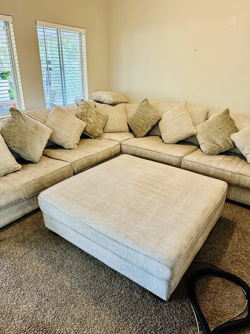 Gallery image 10 — same day upholstery cleaning Orlando