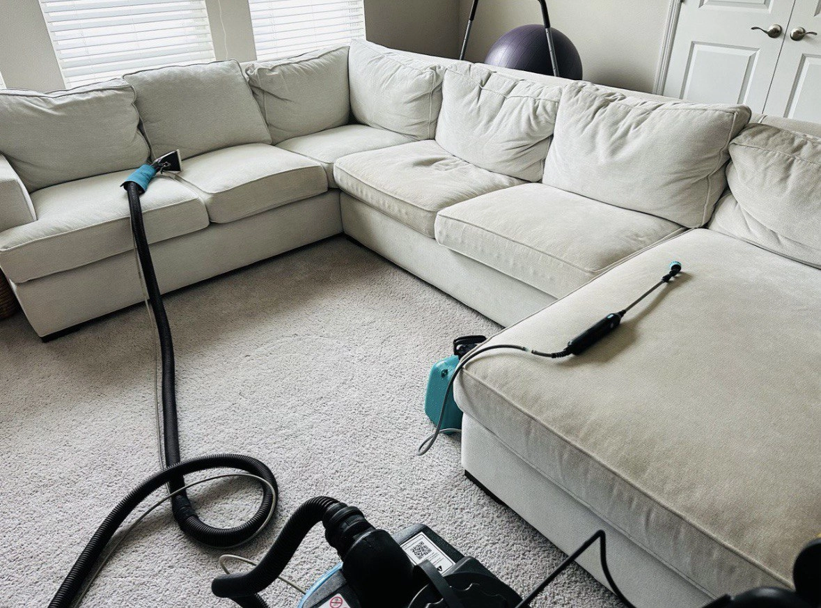 Gallery image 8 — same day upholstery cleaning Orlando