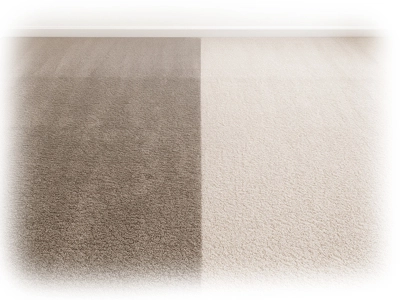 Gallery image 3 — same day upholstery cleaning Orlando