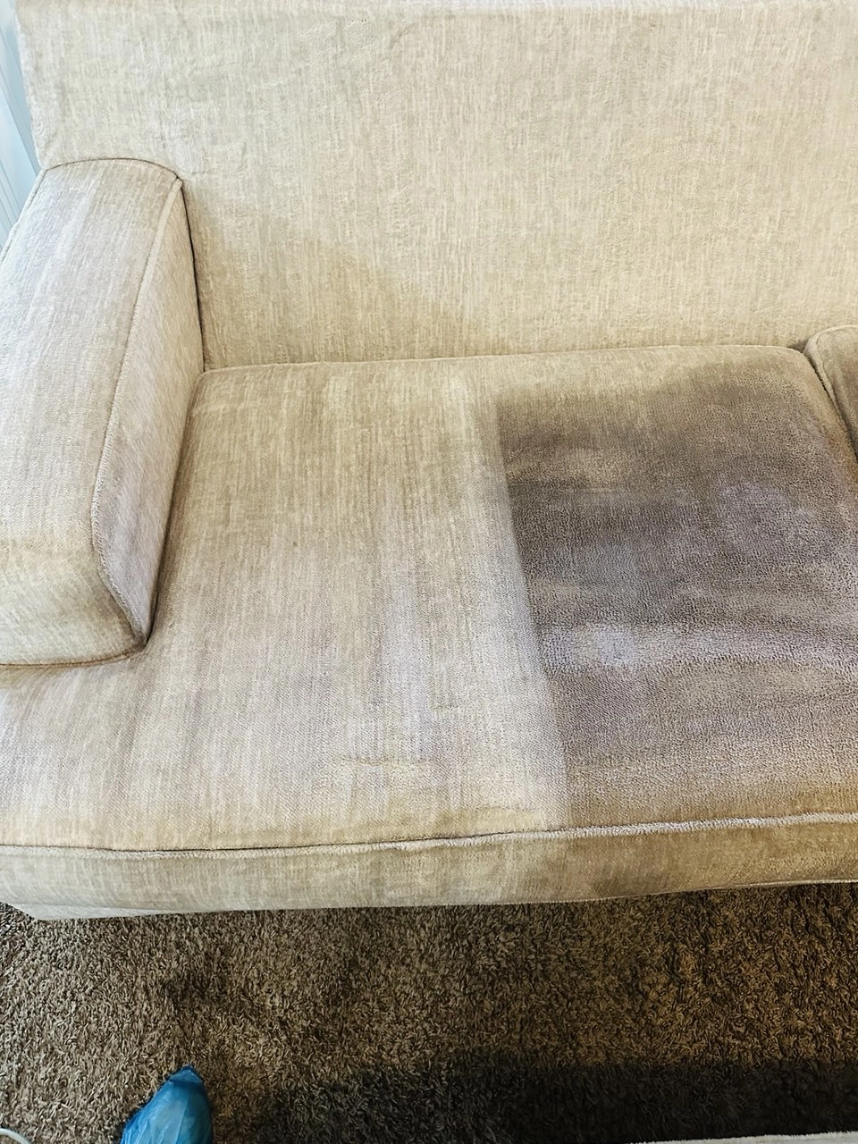 Gallery image 7 — same day upholstery cleaning Orlando