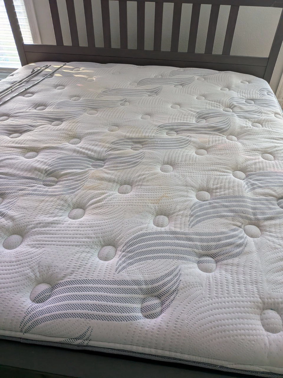 Gallery image 6 — same day upholstery cleaning Orlando