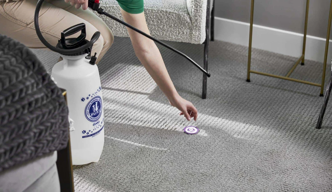 Gallery image 9 — tile and grout cleaning near me