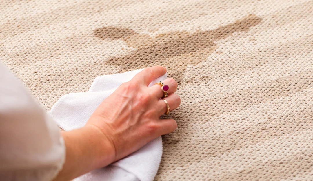 Gallery image 4 — tile and grout cleaning near me