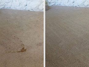 Gallery image 6 — truck mounted carpet cleaning Orlando