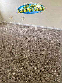 Gallery image 1 — truck mounted carpet cleaning Orlando