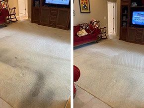 Gallery image 5 — truck mounted carpet cleaning Orlando